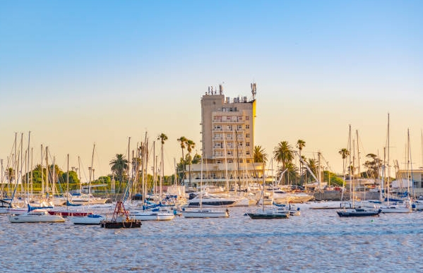 乌拉圭海关数据查询平台（附免费试用查询名额)